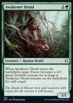 Awakener Druid